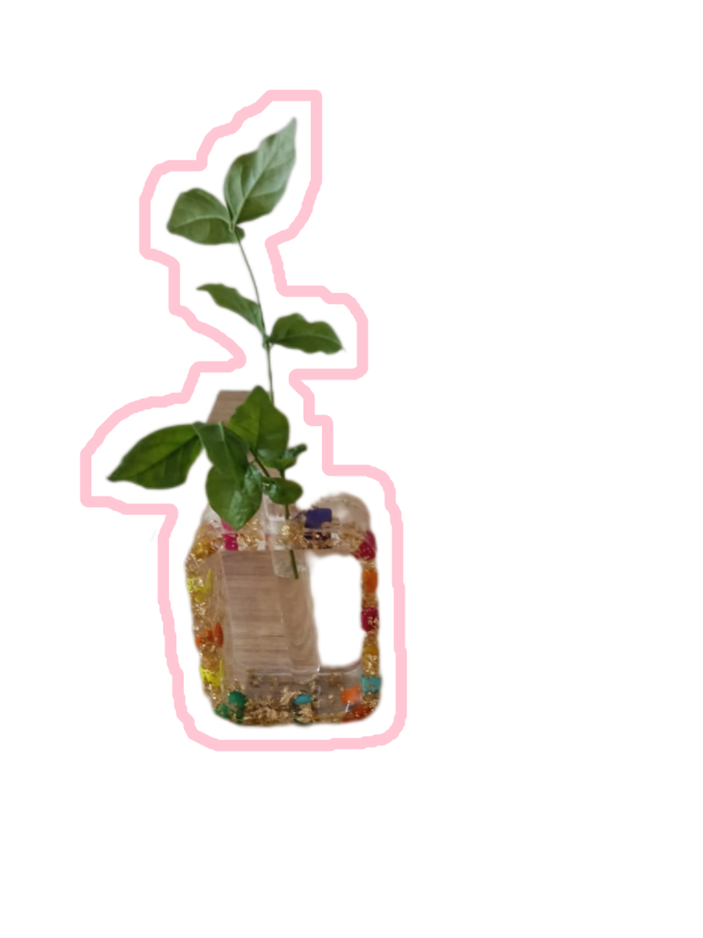 Resin moneyplant tube